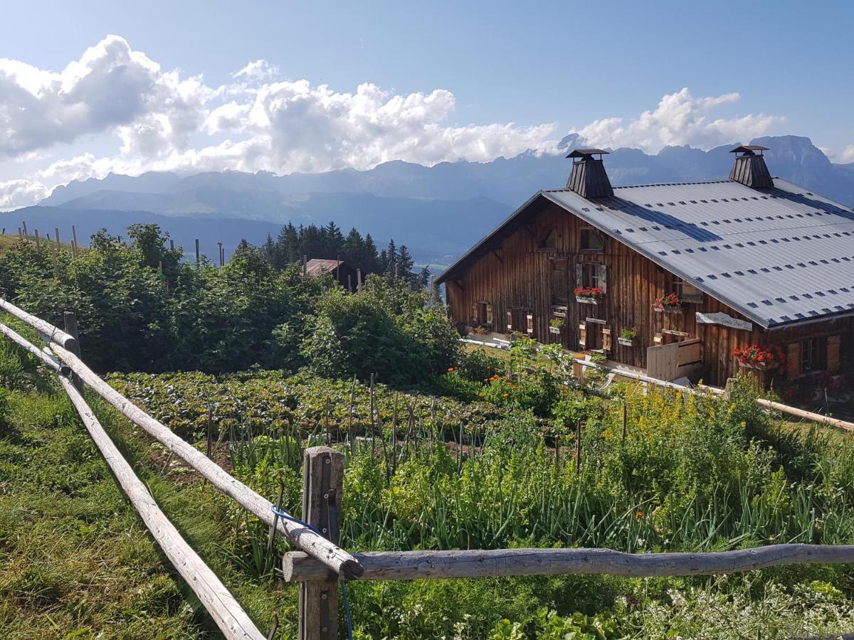 La Grande Cordee - Coeur D'Alpage Daire Combloux Dış mekan fotoğraf