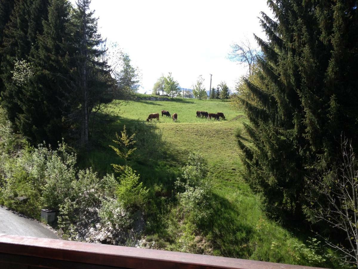 La Grande Cordee - Coeur D'Alpage Daire Combloux Dış mekan fotoğraf