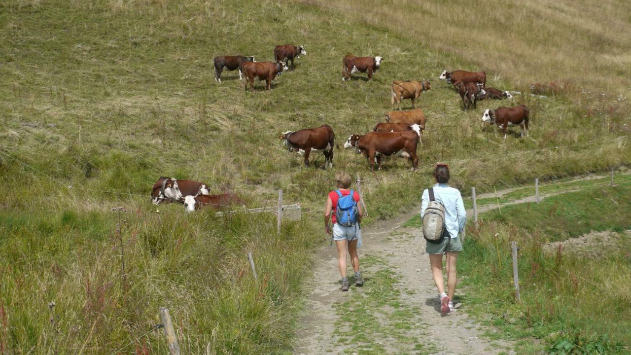 La Grande Cordee - Coeur D'Alpage Daire Combloux Dış mekan fotoğraf